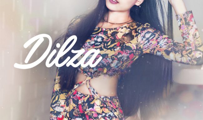 Dilza Artwork Cover