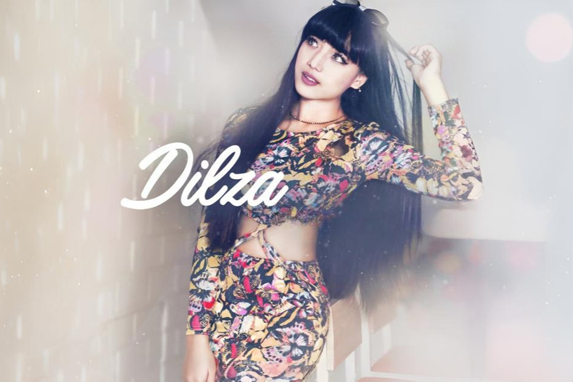 Dilza Artwork Gallery
