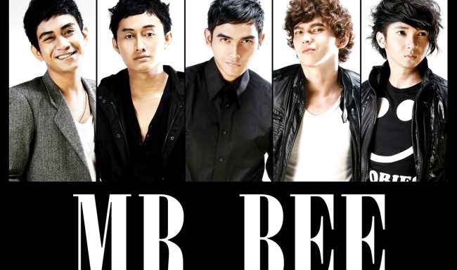 Mr Bee Artwork Cover