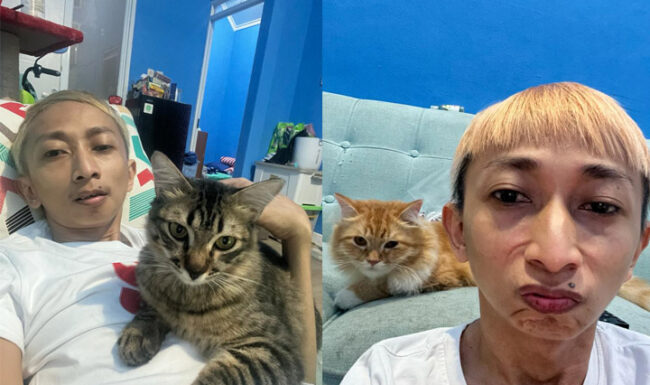 Omo Kucrut Ternyata Seorang Cat Lover