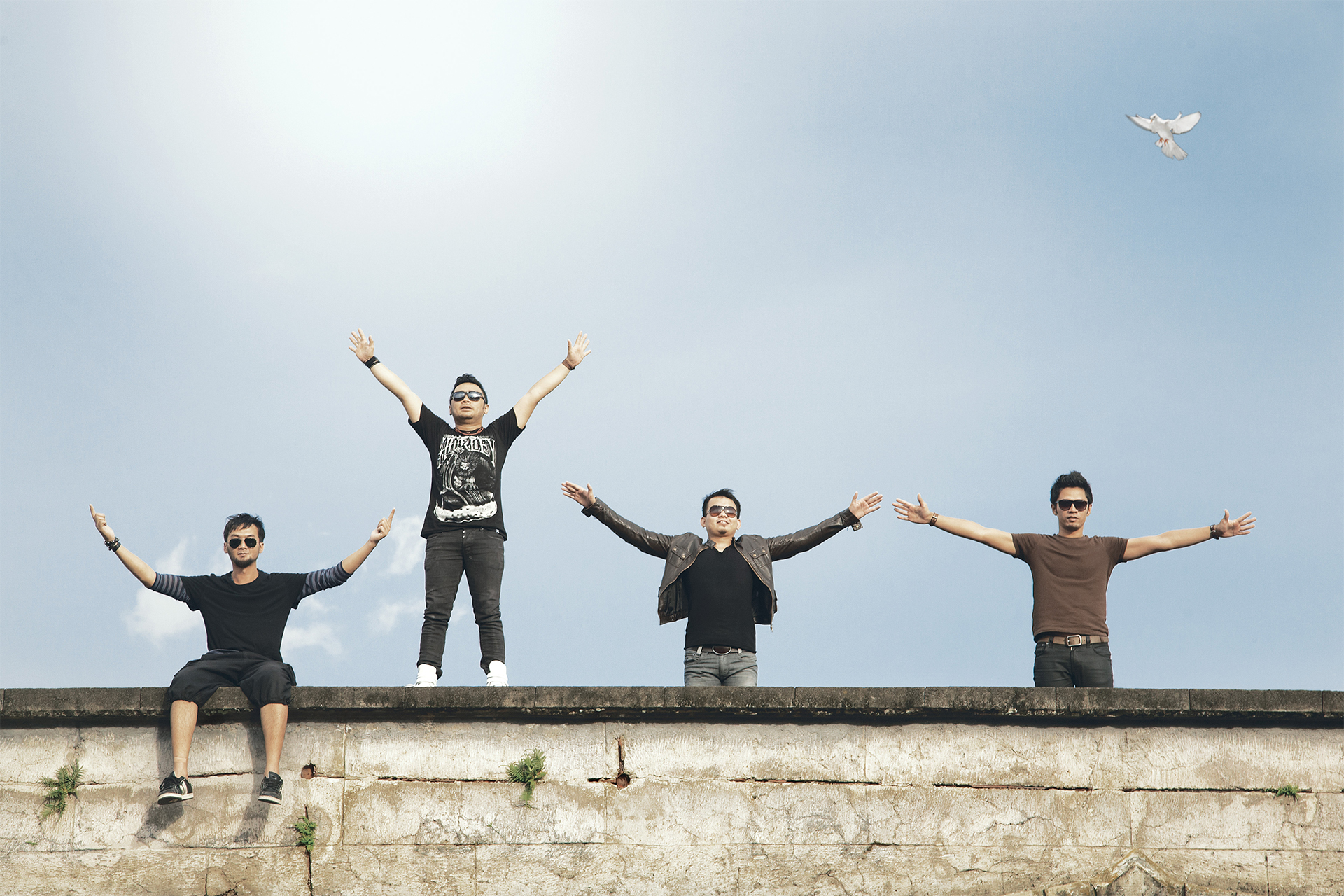 Seiya Artwork Gallery